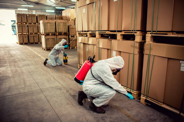 Best Termite Control Services  in Chagrin Falls, OH