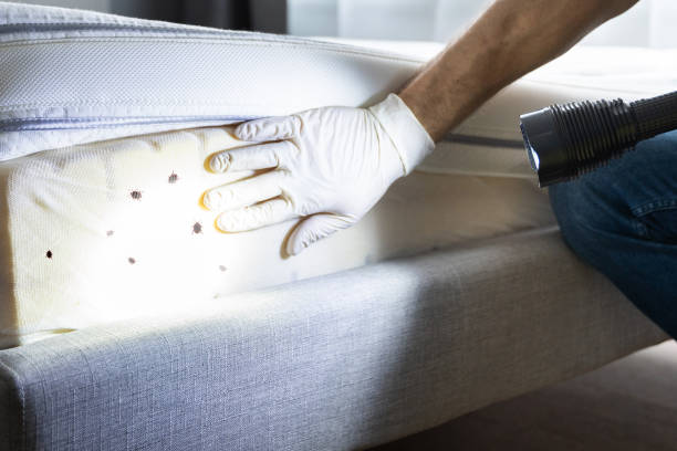 Best Best Pest Control Companies  in Chagrin Falls, OH