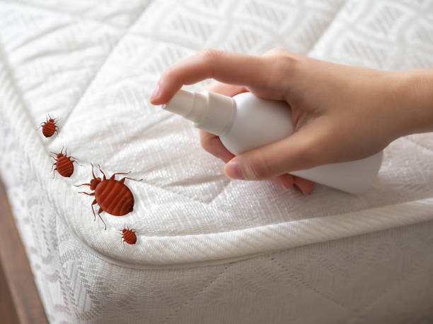 Trusted Chagrin Falls, OH Pest Control Experts