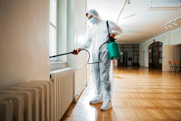 Wasp Removal Services in Chagrin Falls, OH